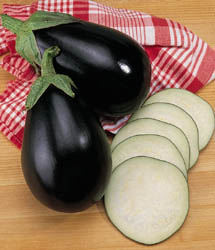 Burpee Hybrid Eggplant